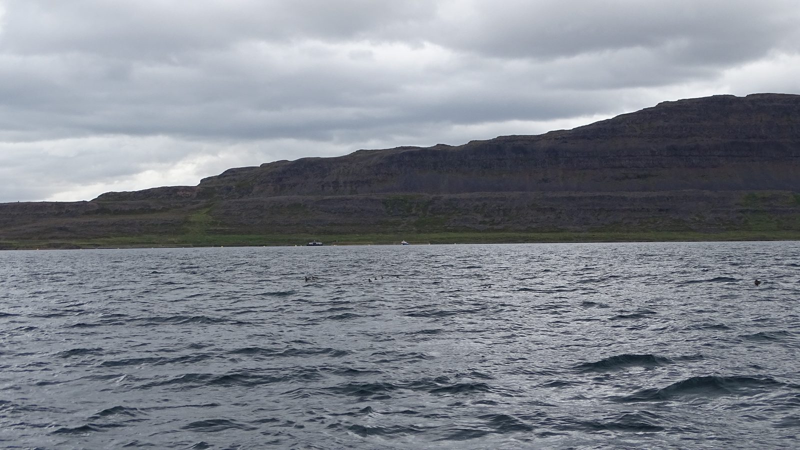 DSC02110.JPG